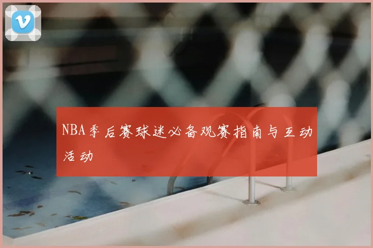 NBA季后赛球迷必备观赛指南与互动活动