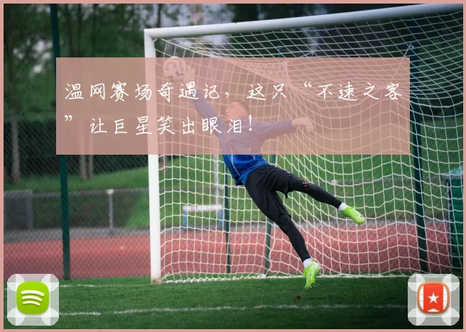 温网赛场奇遇记，这只“不速之客”让巨星笑出眼泪！