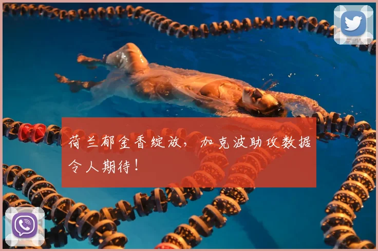 荷兰郁金香绽放，加克波助攻数据令人期待！