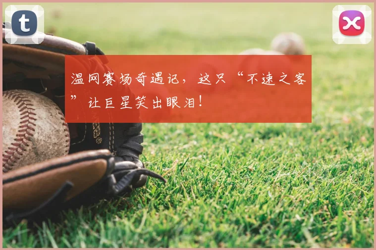 温网赛场奇遇记，这只“不速之客”让巨星笑出眼泪！